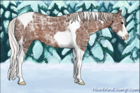 Horse Color:Silver Black Ice Splash Tobiano 