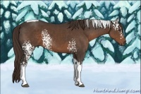 Horse Color:White Spotted Liver Chestnut Tobiano 