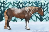 Horse Color:White Spotted Liver Chestnut Tobiano 