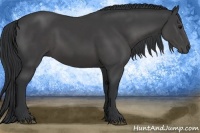 Horse Color:Black Sabino