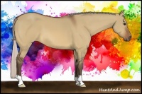Horse Color:Silver Bay Dun