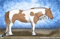 Horse Color:Chestnut Tobiano