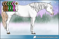 Horse Color:White Spotted Brown Pearl Frame Appaloosa Rabicano 