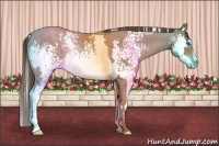 Horse Color:White Spotted Classic Champagne Splash Frame Rabicano 