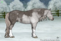 Horse Color:Silver Black 