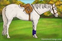 Horse Color:Smoky Creme Roan 