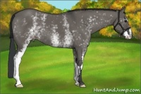 Horse Color:White Spotted Grullo Frame 