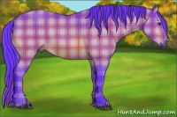 Horse Color:Watercolor Plaid  Buckskin 