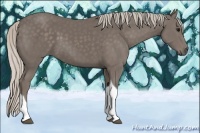 Horse Color:Silver Smoky Black Tobiano 