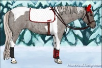 Horse Color:Silver Blue Roan Tobiano