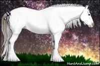 Horse Color:Buckskin Appaloosa Rabicano 