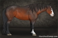 Horse Color:Brown Splash Frame 