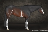 Horse Color:White Spotted Brown 