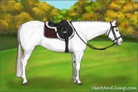 Horse Color:Smoky Black Appaloosa 