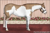 Horse Color:Red Dun Splash Frame Rabicano 