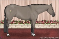 Horse Color:Smoky Grullo