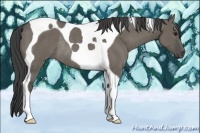 Horse Color:Smoky Grullo Tobiano Rabicano