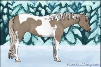 Horse Color:Silver Grullo Roan Tobiano 