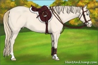 Horse Color:Perlino 