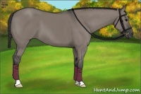 Horse Color:Grullo 