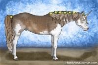 Horse Color:Liver Chestnut Sabino Splash 
