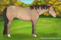 Horse Color:Sable Champagne 
