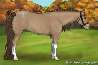Horse Color:Classic Champagne Tobiano 