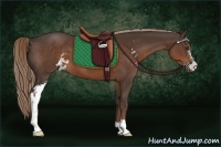 Horse Color:Liver Chestnut Sabino
