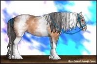 Horse Color:White Spotted Buckskin 