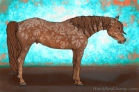 Horse Color:Chestnut Ice 