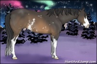 Horse Color:White Spotted Buckskin Splash Frame 