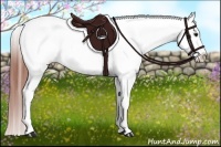 Horse Color:White Spotted Bay Tobiano Frame Varnish Rabicano 