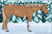 Horse Color:Chestnut Tobiano
