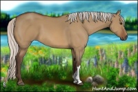 Horse Color:Silver Bay Dun 