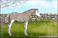 Horse Color:Silver Blue Roan Sabino Splash