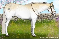 Horse Color:White Spotted Silver Buckskin Dun 