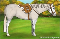 Horse Color:Smoky Creme Splash 