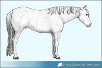 Horse Color:Black Sabino