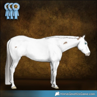 Horse Color:Classic Champagne Splash Tobiano 