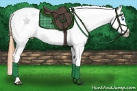 Horse Color:Buckskin Sabino Splash Tobiano Varnish 