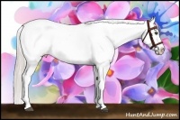 Horse Color:Silver Bay Snowcap 