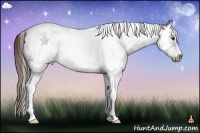 Horse Color:Liver Chestnut Sabino Splash Tobiano Frame 