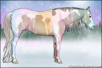 Horse Color:Silver Grullo Ice Splash Tobiano 