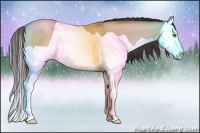 Horse Color:Classic Champagne Dun Splash 