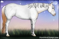 Horse Color:Gold Champagne Sabino Splash Tobiano Frame 