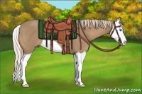 Horse Color:Palomino Splash 