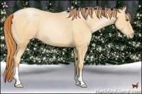 Horse Color:Amber Champagne Pearl