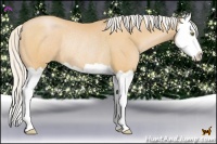 Horse Color:Silver Bay Pearl Splash Rabicano 