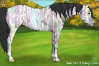 Horse Color:Grullo Ice 