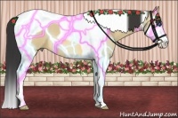 Horse Color:Buckskin Roan Dun Splash Tobiano 